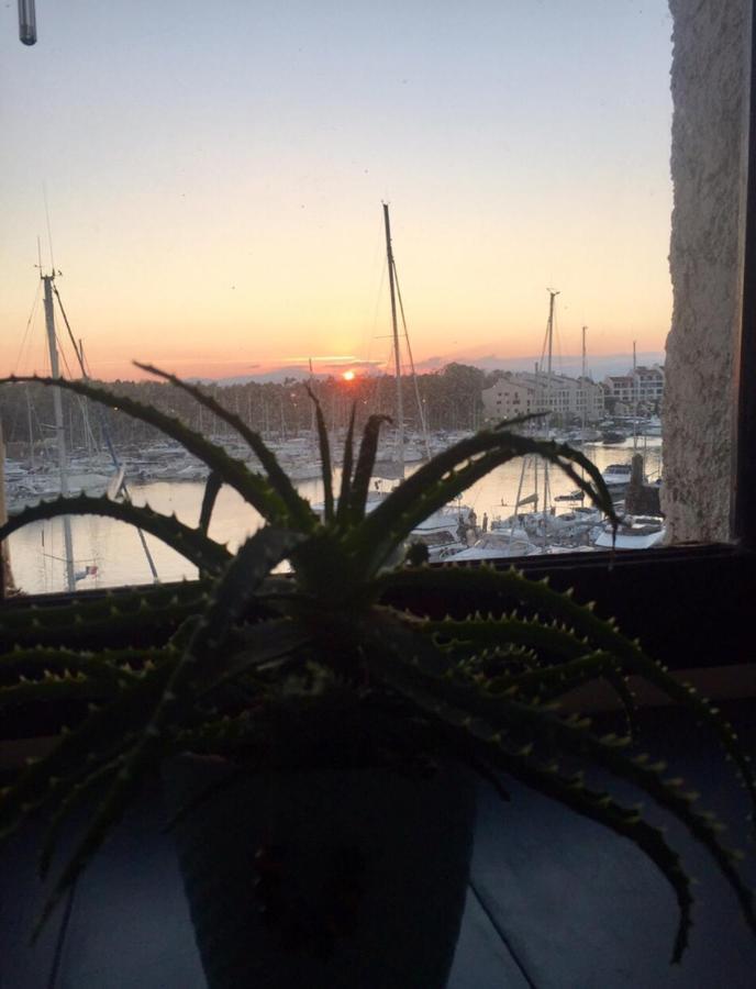 Petit Cocon Magnifique Vue Sur Marina Dans Le Golfe De Saint Tropez Apartment Cogolin Luaran gambar