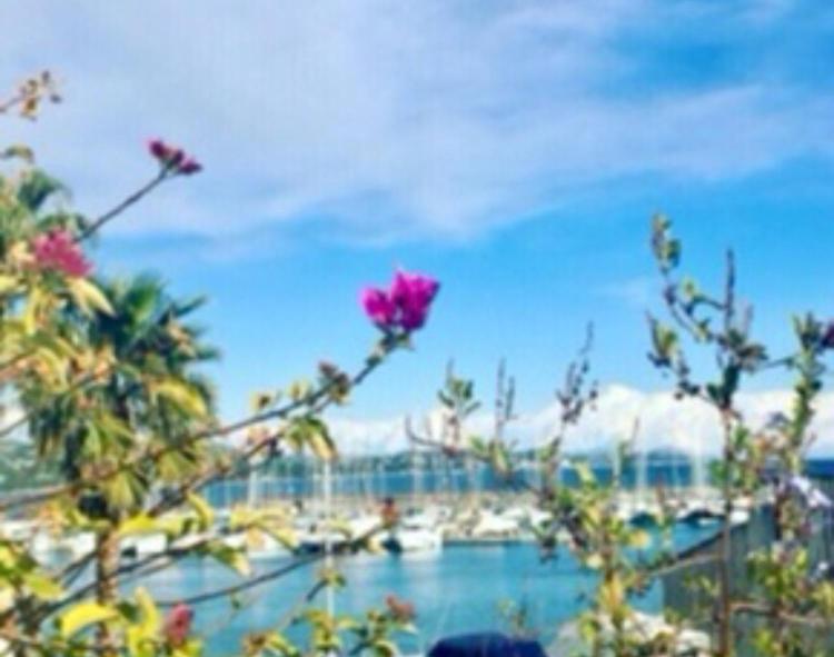 Petit Cocon Magnifique Vue Sur Marina Dans Le Golfe De Saint Tropez Apartment Cogolin Luaran gambar