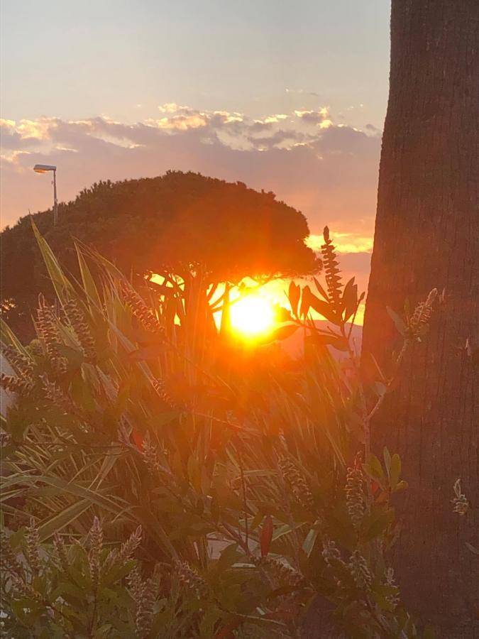 Petit Cocon Magnifique Vue Sur Marina Dans Le Golfe De Saint Tropez Apartment Cogolin Luaran gambar