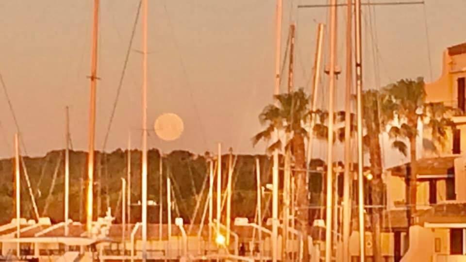 Petit Cocon Magnifique Vue Sur Marina Dans Le Golfe De Saint Tropez Apartment Cogolin Luaran gambar